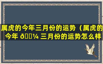 属虎的今年三月份的运势（属虎的今年 🐼 三月份的运势怎么样）